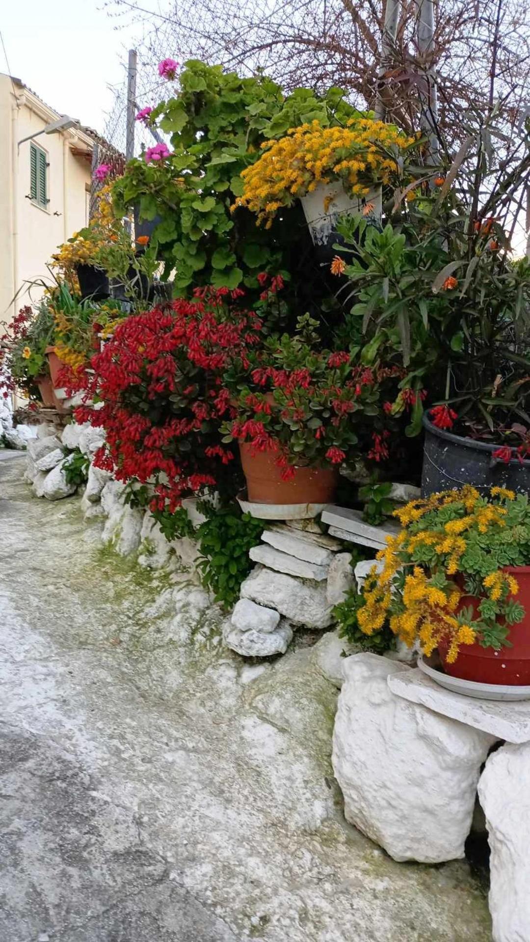 Pelekas Loft Διαμέρισμα Εξωτερικό φωτογραφία